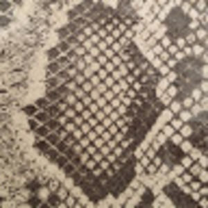 Meet your Posher, Fancy